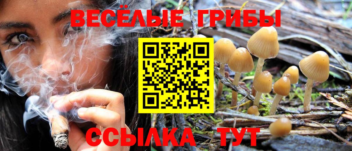 Галлюциногенные грибы Cubensis  Вход с VPN  Псилоцибиновые грибы ЛСД  Рыбинск 